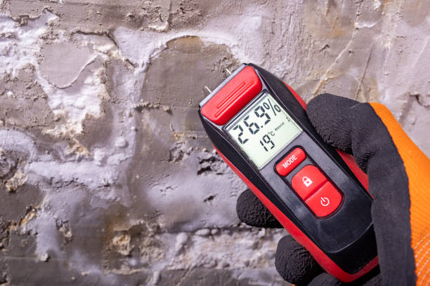 Best Commercial Mold Remediation in Stickney, IL