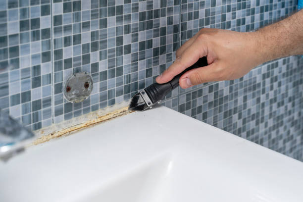 Best Localized Mold Remediation (e.g., coastal areas, humid climates) in Stickney, IL