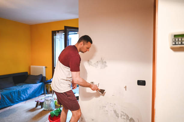 Best Emergency Mold Remediation in Stickney, IL